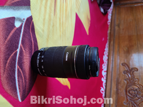 Canon 55-250stm lens